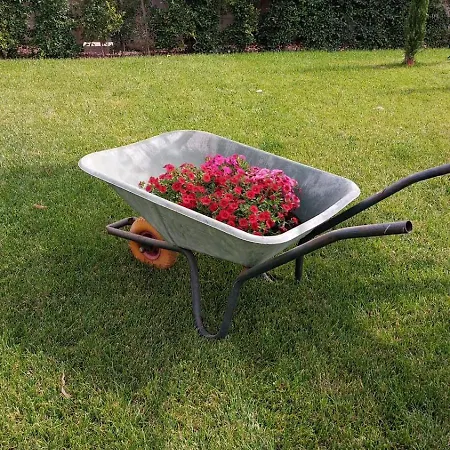 La Casa Del Borgo-intero Appartement *